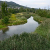 Auenschutzpark  Seitengewässer