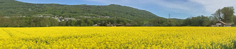 Panorama der Stadt Aarau vom Alpenzeiger