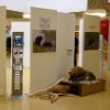 Ausstellung in der Telli
