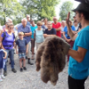 Biberexkursion2017